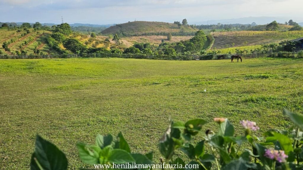 Fina Farm wisata alam di Nyalindung Sukabumi