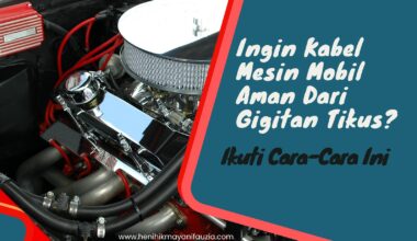 Mesin mobil aman dari gigitan tikus