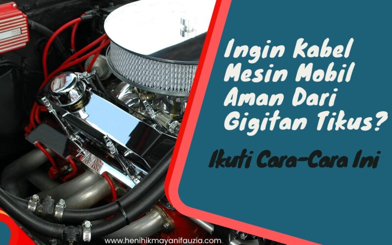 Mesin mobil aman dari gigitan tikus