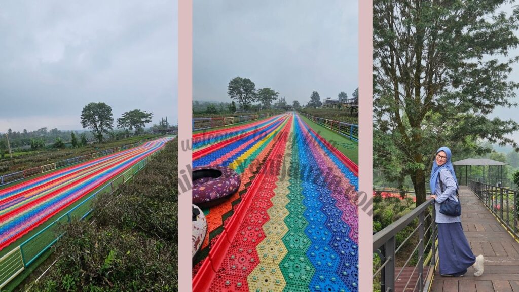 Rainbow Slide Goalpara Tea Park