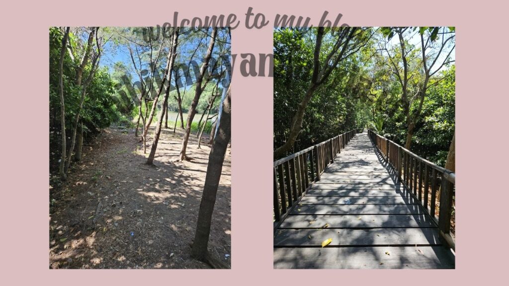 Taman Wisata Mangrove Wonorejo Surabaya