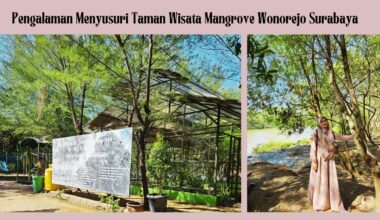 Taman Wisata Mangrove Wonorejo Surabaya