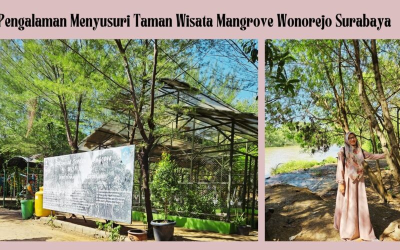 Taman Wisata Mangrove Wonorejo Surabaya