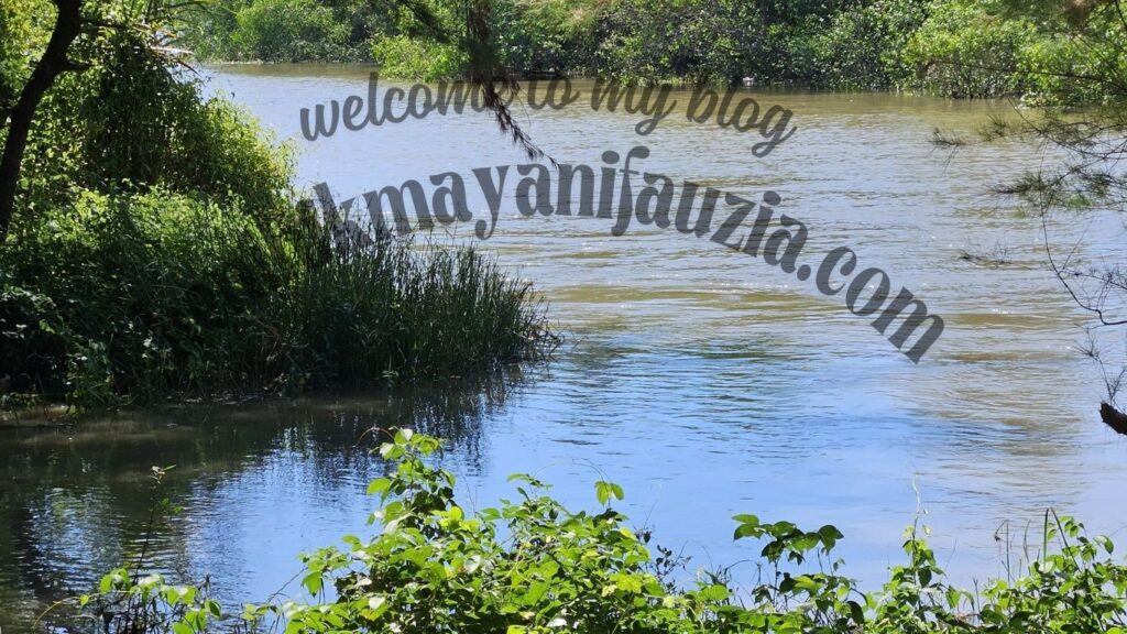 Taman Wisata Mangrove Wonorejo Surabaya