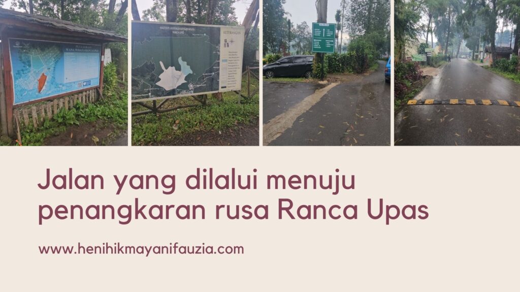 Penangkaran rusa Ranca Upas