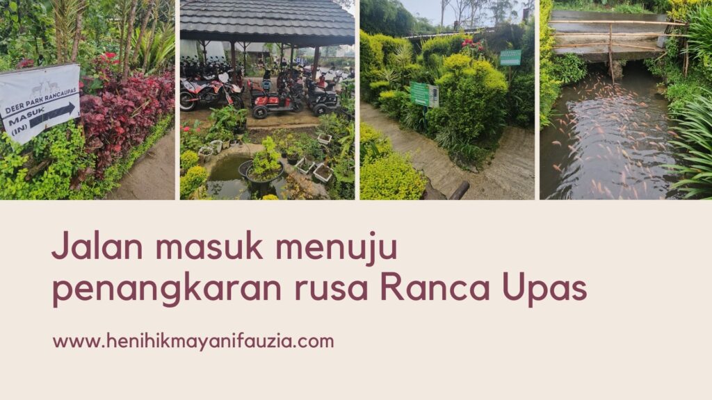 Penangkaran rusa Ranca Upas