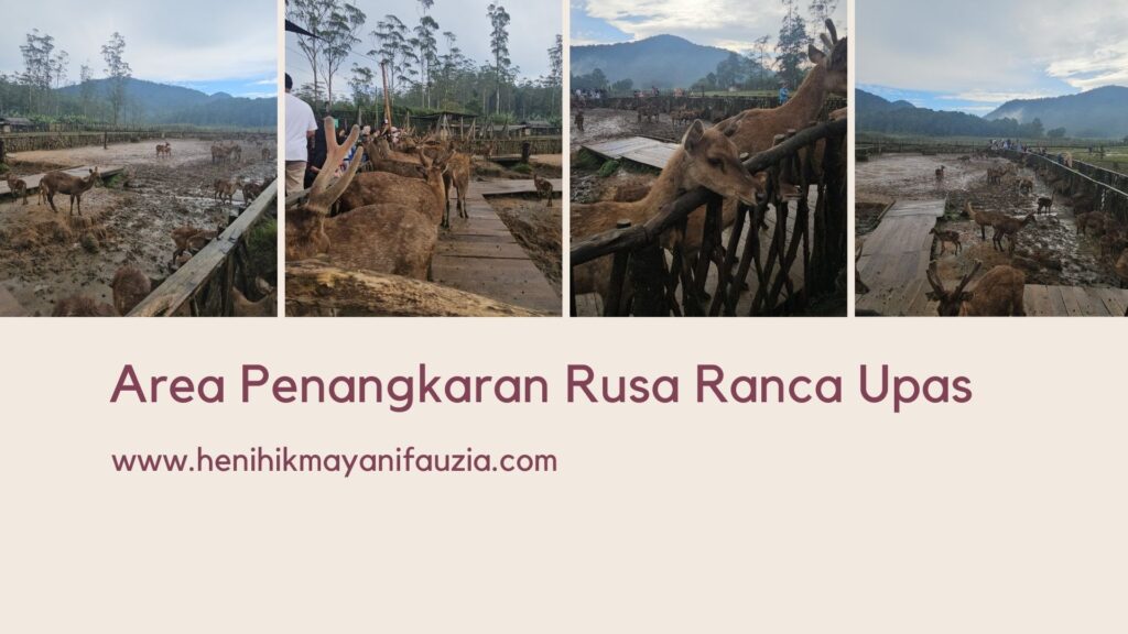 Penangkaran rusa Ranca Upas