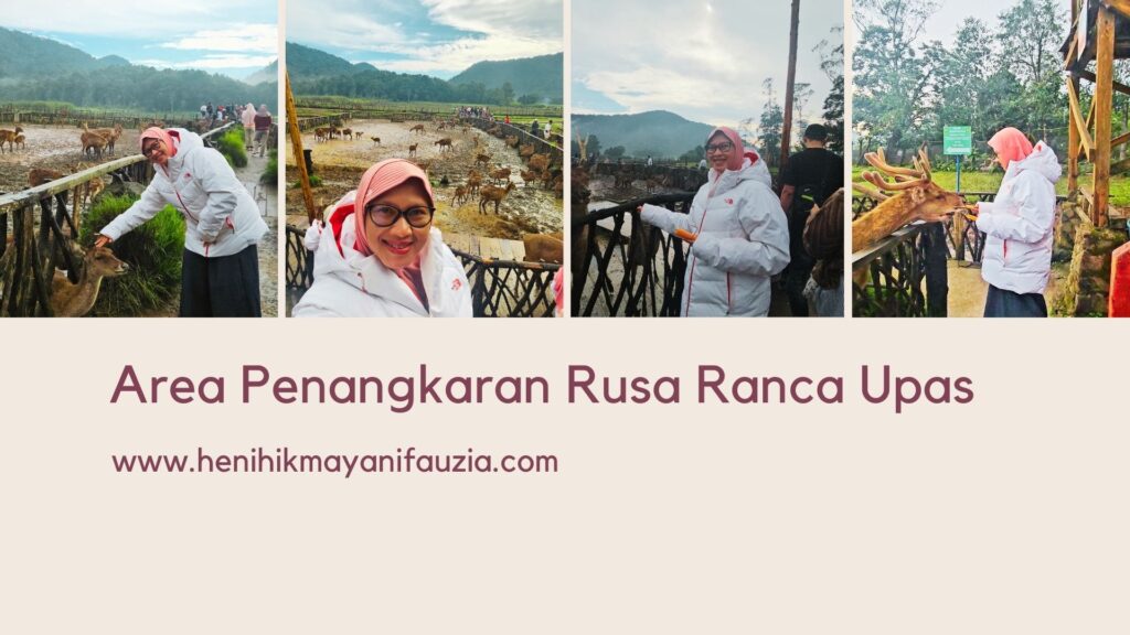 Penangkaran rusa Ranca Upas