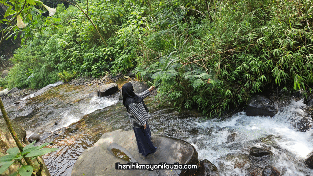 Glamping taman kopi Guntang