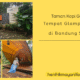 Taman Kopi Guntang