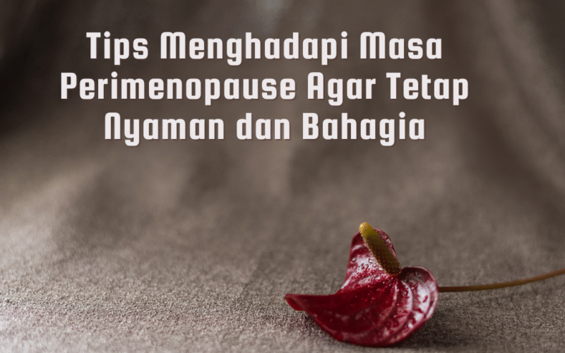 tips menghadapi masa perimenopause