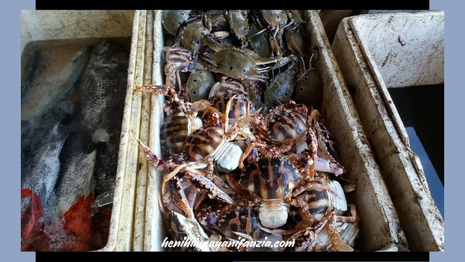 Pasar ikan Ujung Genteng