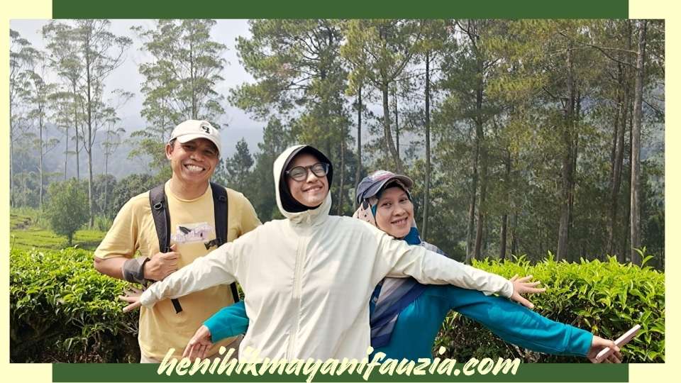Kebun teh di Ciwangun Indah Camp