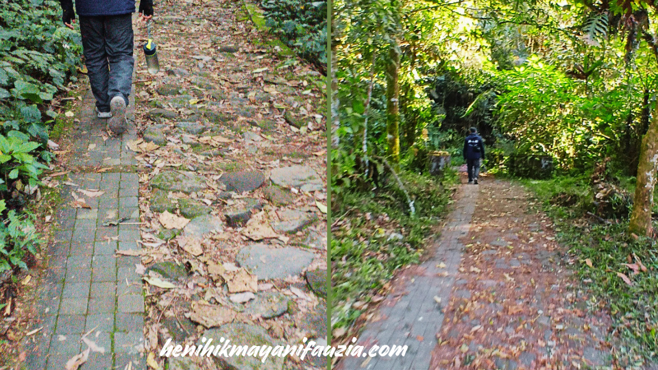Jalur trekking Curug Cibeureum
