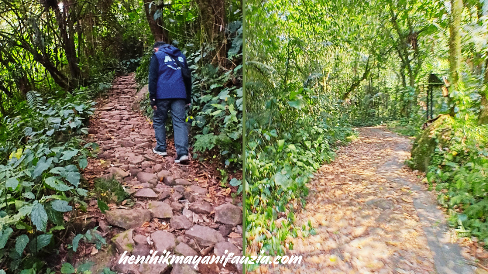 kondisi jalan ke Curug Cibeureum