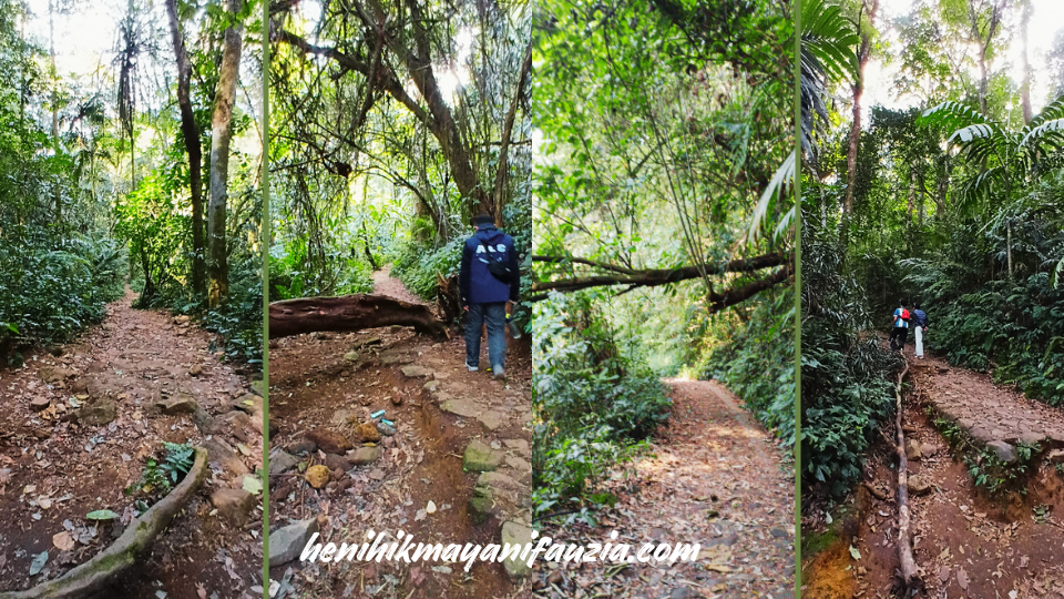 Trekking ke Curug Cibeureum