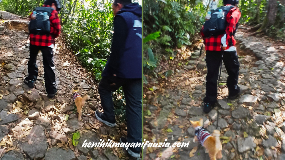 Trekking Curug Cibeureum Selabintana